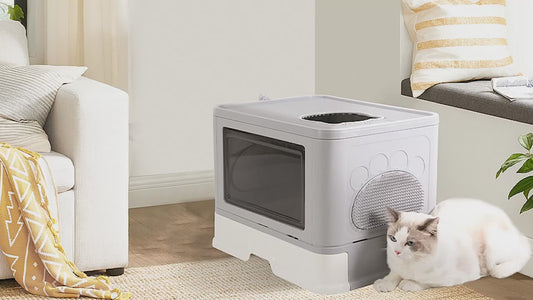 Arenero Ventilado Para Gato